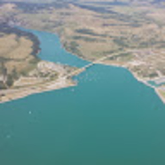 Meet your Posher, Theresa - Picture 1 of 1